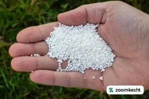 انواع محتلف منیزیم