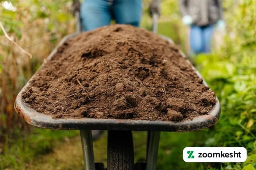 کرم های سبزیجات