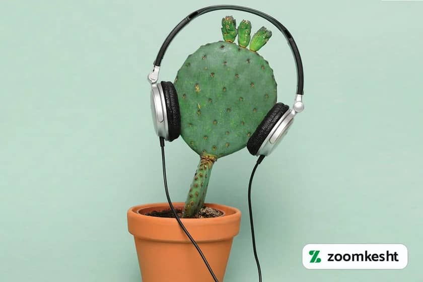 تاثیر موسیقی بر رشد گل و گیاهان