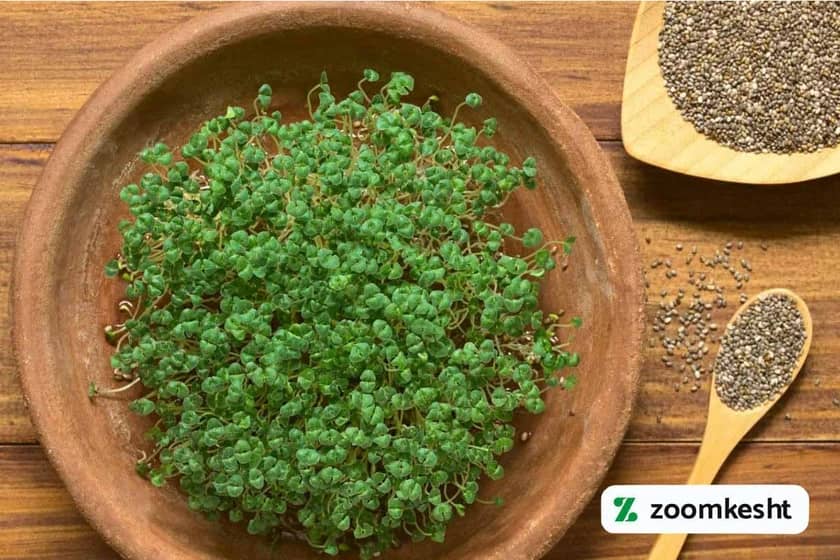 سبزه تخم شربتی