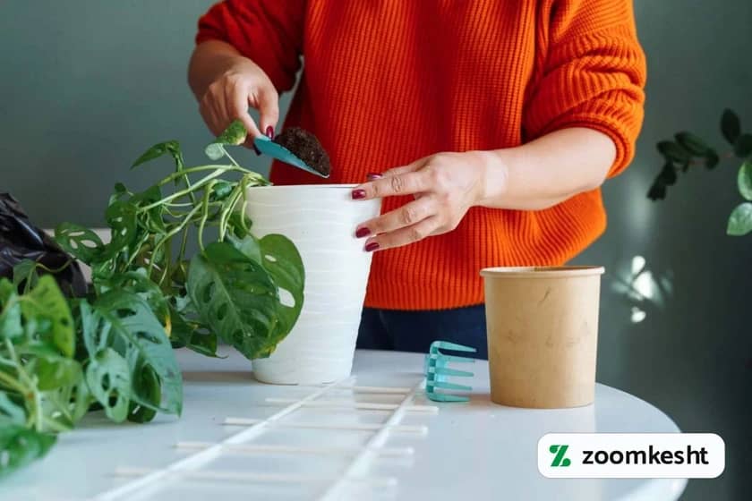 کوددهی گل و گیاه