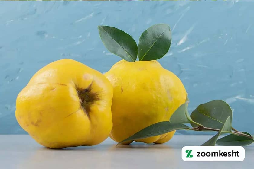 نهال به اصفهان "گران‌ترین نهال میوه"