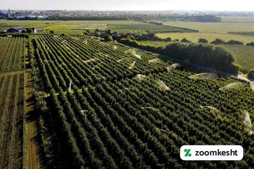 کشاورزی هلند