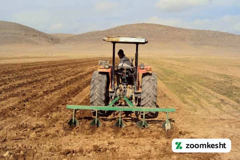 آماده سازی زمین برای کاشت نخود