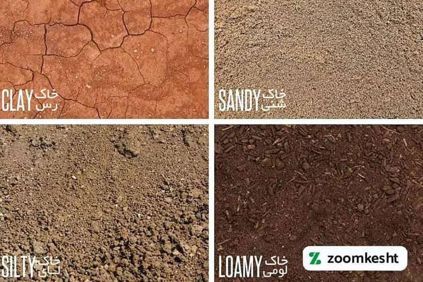 خاک مناسب کاشت هویج