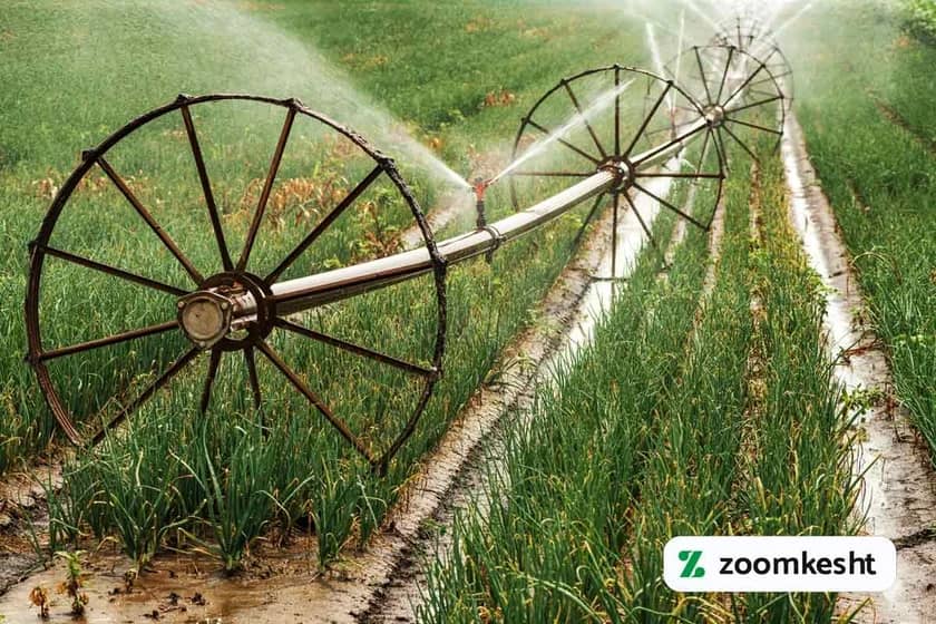 بهترین روش آبیاری پیاز