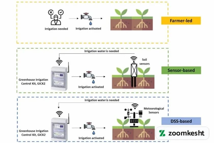 آبیاری پیاز