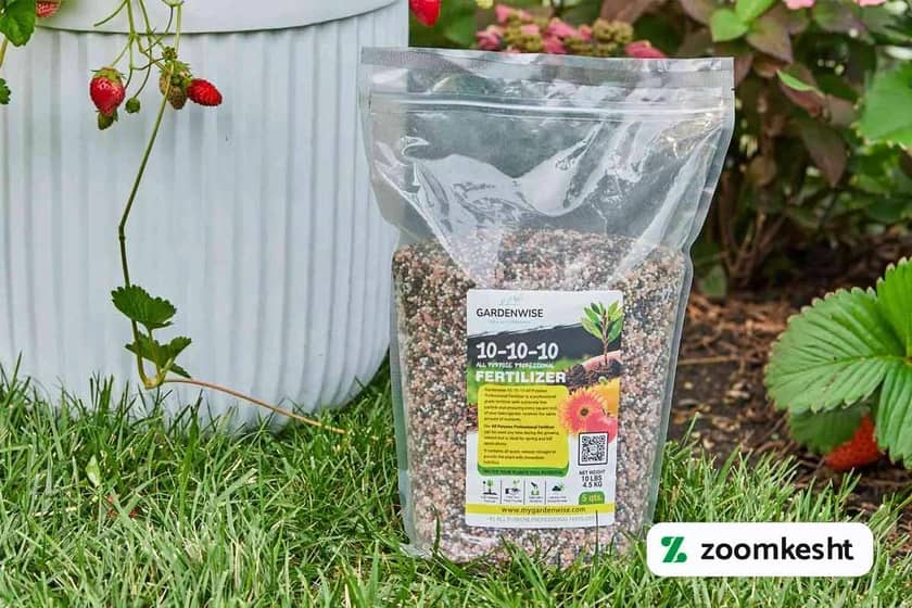 کوددهی توت فرنگی "بهترین کود برای توت فرنگی"