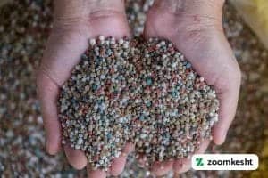 1765997289609-367679440.webp 1765997289609-367679440.webp