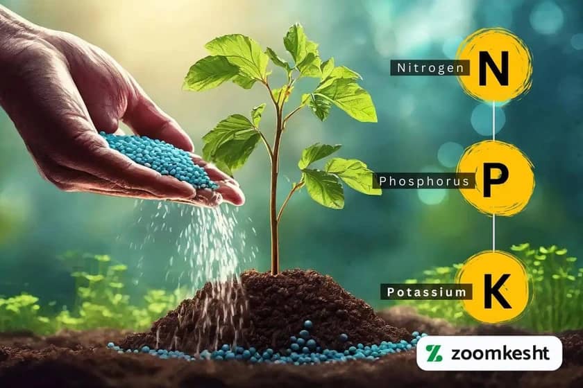 1765997290185-868170254.webp 1765997290185-868170254.webp