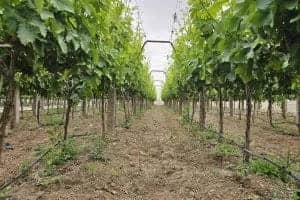 1765997297210-703206317.webp 1765997297210-703206317.webp