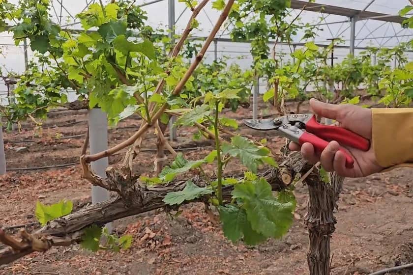 1765997297828-843853399.webp 1765997297828-843853399.webp