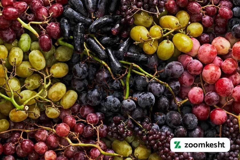 1765997313135-353639982.webp 1765997313135-353639982.webp