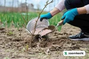 1765997343211-626255568.webp 1765997343211-626255568.webp