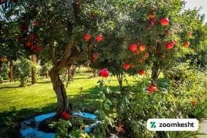 1765997343518-664120016.webp 1765997343518-664120016.webp