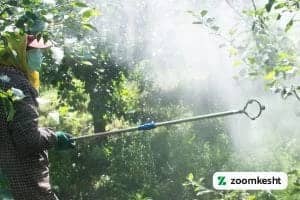 1765997343811-478560023.webp کوددهی انار