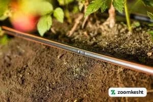 1765997344117-93482110.webp 1765997344117-93482110.webp