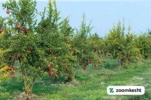 1765997347011-718746529.webp 1765997347011-718746529.webp