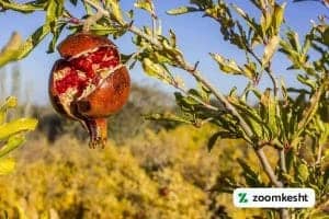 1765997348013-288854084.webp 1765997348013-288854084.webp