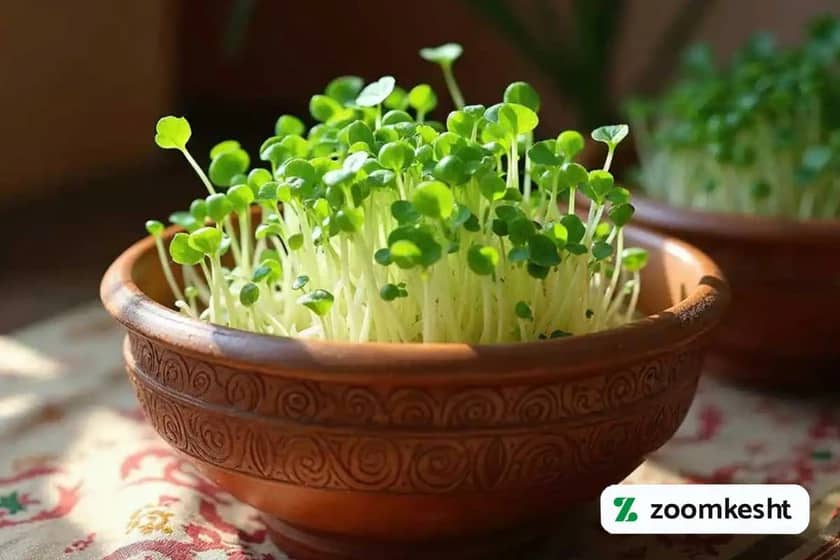 1765997728112-978521143.webp 1765997728112-978521143.webp