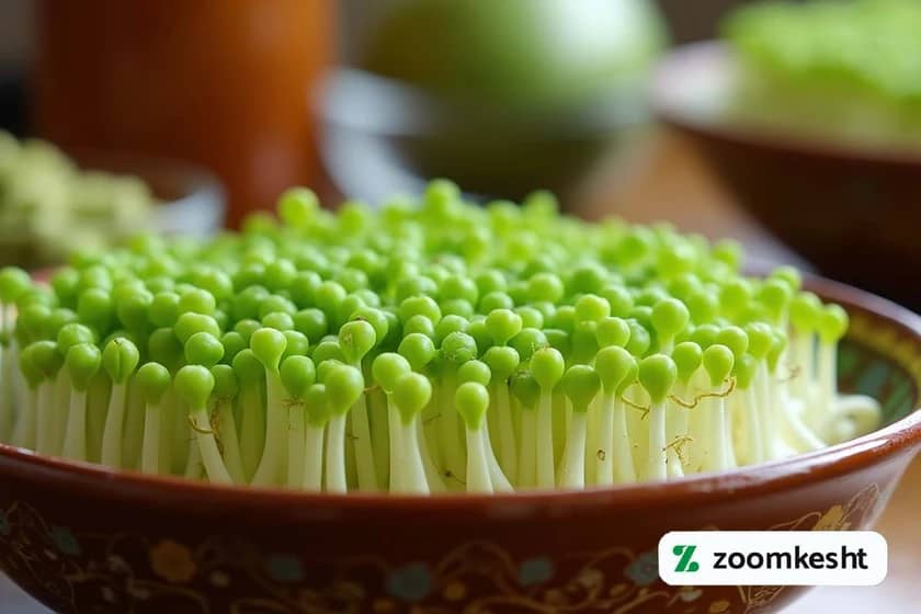 1765997731317-378810553.webp 1765997731317-378810553.webp