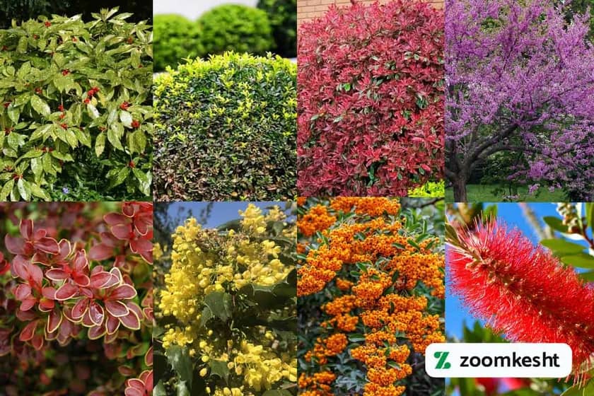 1765998081885-875105582.webp 1765998081885-875105582.webp