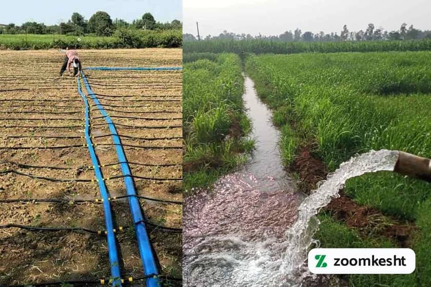 1765998210460-500800880.webp تفاوت آبیاری قطره ای با آبیاری سنتی