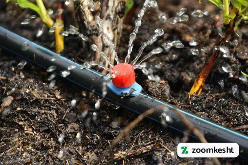 1765998213185-800628265.webp آبیاری قطره ای