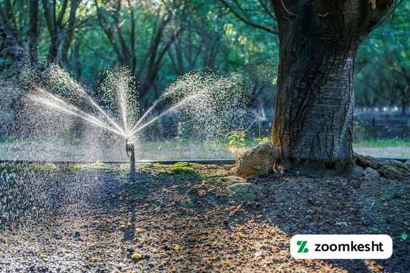 1765998310185-153120963.webp 1765998310185-153120963.webp