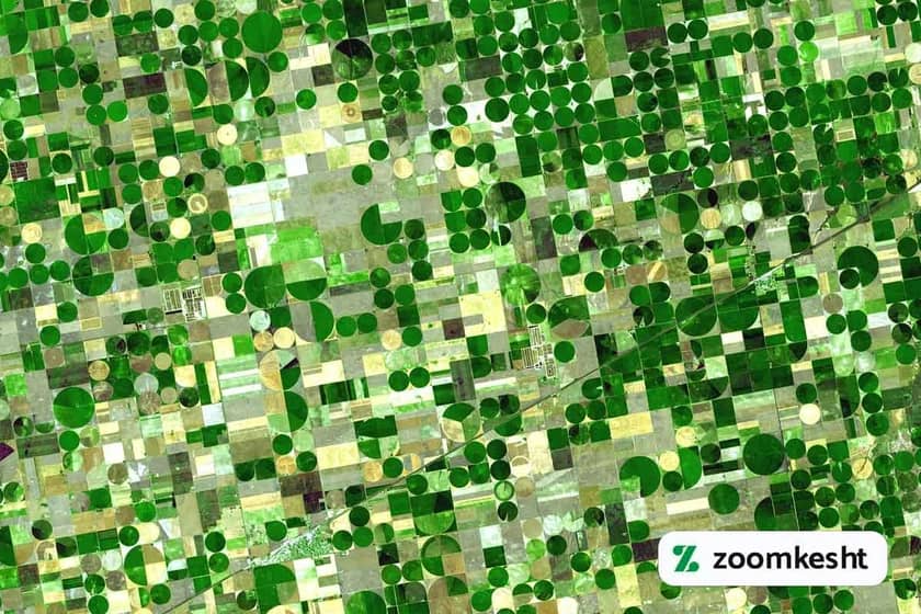 1765998388587-21072244.webp کشاورزی آمریکا