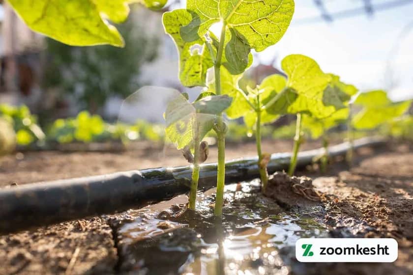 1765998566979-295608077.webp 1765998566979-295608077.webp