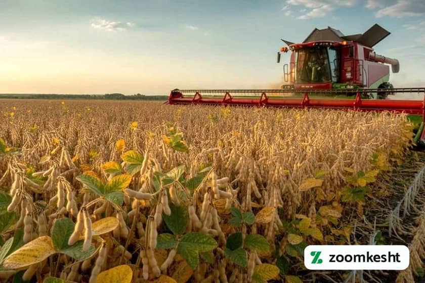 1765998702927-177903352.webp برداشت سویا