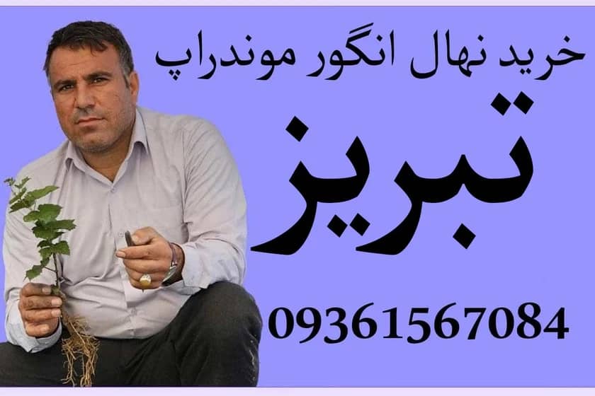 1765999227714-893101195.webp 1765999227714-893101195.webp