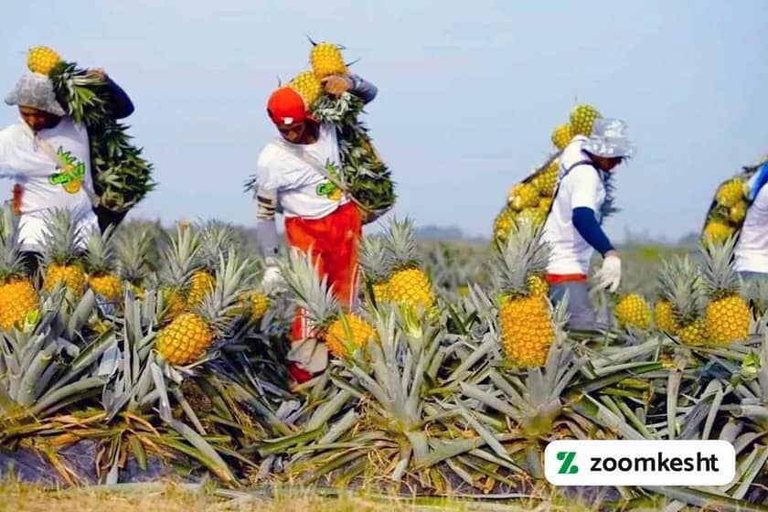 1765999378021-101368737.webp 1765999378021-101368737.webp