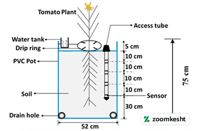 1765999490026-79977304.webp آبیاری گوجه فرنگی