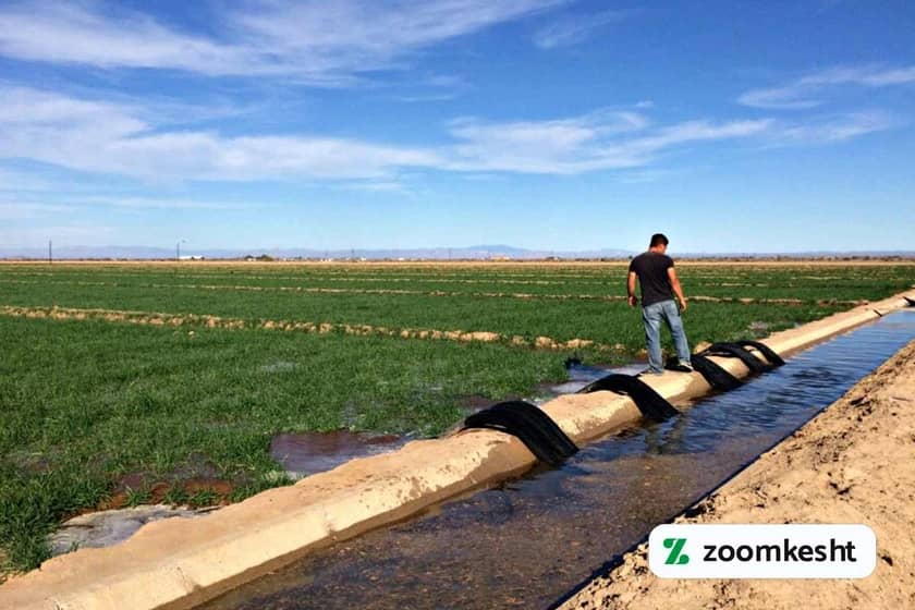 1765999498422-508894999.webp آبیاری گندم