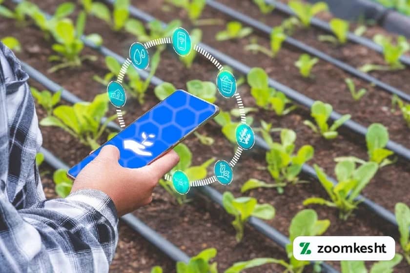 1765999517384-20868597.webp آبیاری قارچ