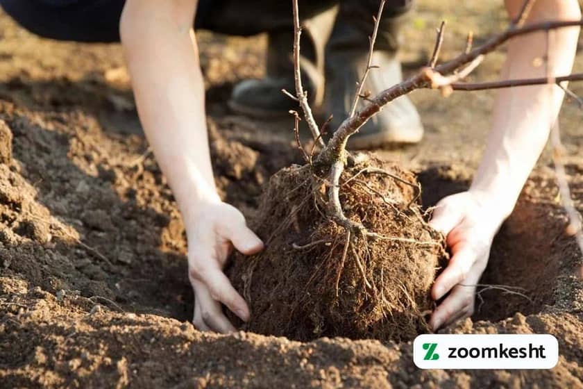 1765999525691-938059628.webp 1765999525691-938059628.webp