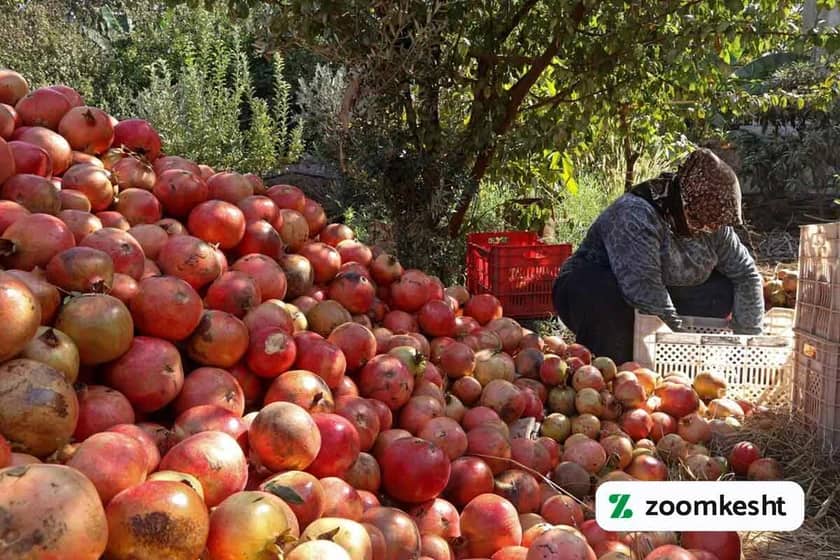 1765999581521-301204001.webp 1765999581521-301204001.webp