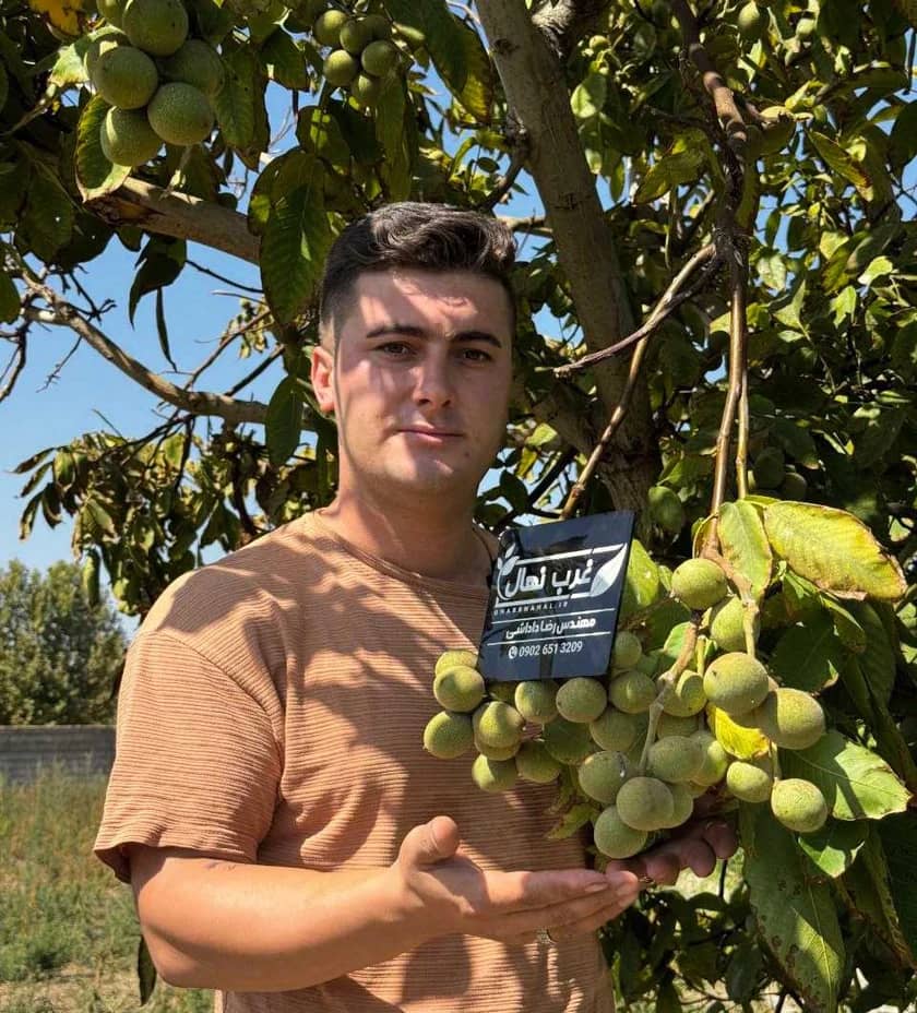 1765999587585-643449285.webp 1765999587585-643449285.webp